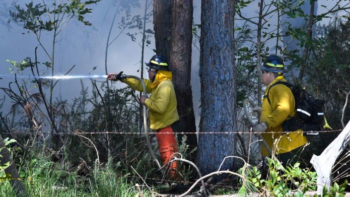 Members of a Hawaii Department of Land and Natural Resources wildland firefighting crew battle a fire Tuesday in Kula, Hawaii. - Matthew Thayer/The Maui News via AP